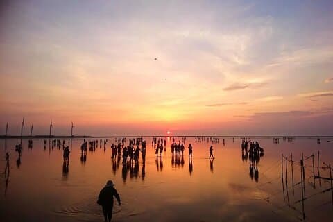 Taichung Landmarks & Gaomei Wetlands Full-Day Tour from Taipei