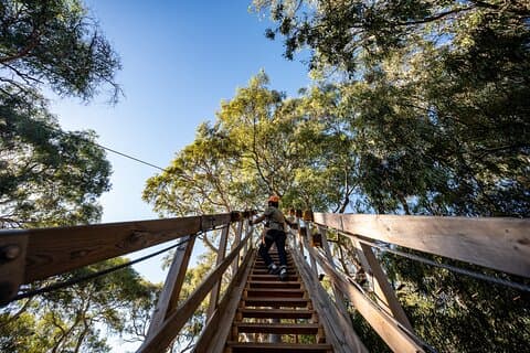 Boomtopactiviteit voor sensatiezoekers en avonturiers in Adelaide