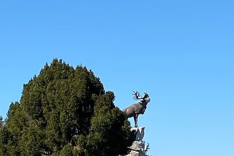 Privat WW1 Kanada fokuserad Tour inklusive Vimy Ridge