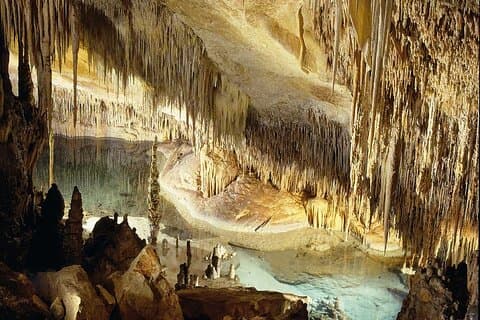 Tour in autobus di mezza giornata alle Grotte del Drach