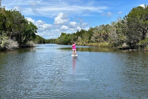 Crystal River Reserve State Park utleie av elektrisk paddleboard
