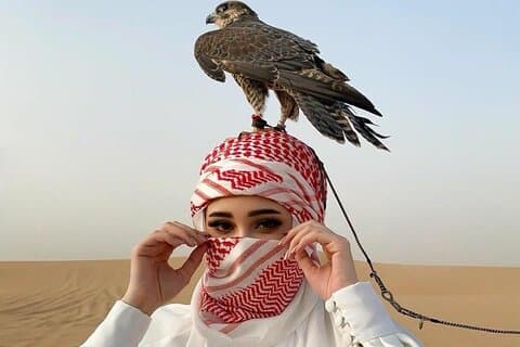 Red Dune 4x4 Desert Safari with Camel ride & BBQ Dinner