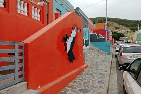 Bo Kaap Seal Island Världen av fåglar och Constantia Vinprovning