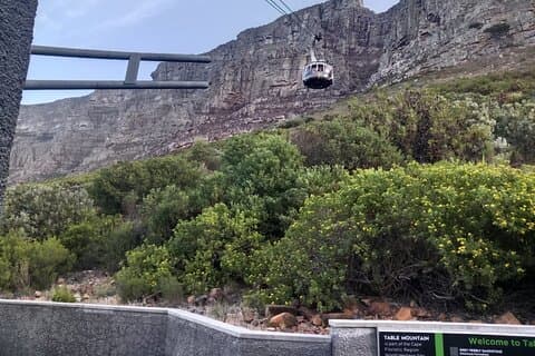 Table Mountain and Constantia Wine Tasting with Afrogem Tour