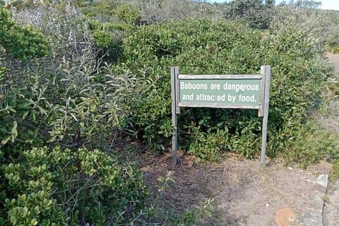 Ganztägige Cape Point und Cape of Good Hope Tour mit Weinprobe