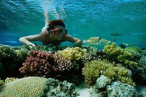 Excursão de mergulho com snorkel na Ilha Hamata saindo de Marsa Alam
