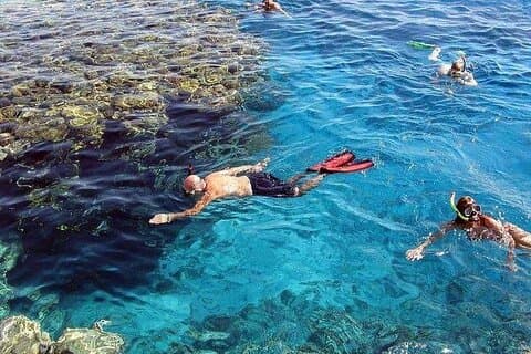 Marsa Mubarak Snorkeling – Transfers & Lunch Included!