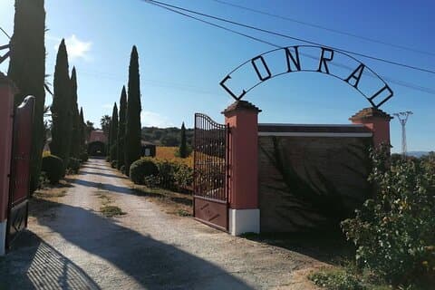 Visite guidée de la cave de Conrad et dégustation de vin à Ronda