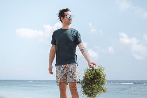 Actividad de cultivo de algas y visitas turísticas en Diamond Beach