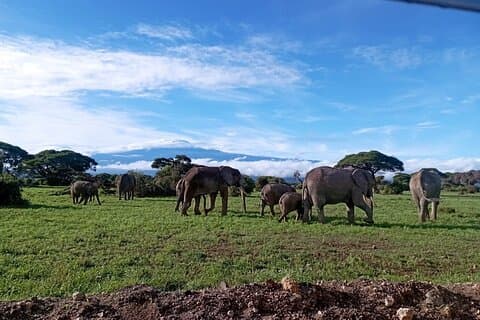 Volledige dagtour in Amboseli National Park vanuit Nairobi
