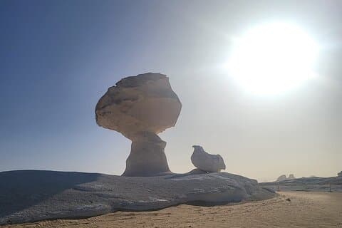 2 jours de camping à l'oasis de Bahariya
