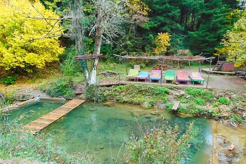 Privat dagstur fra Athen til Pavliani Forest Park Trek
