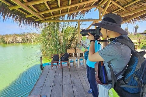 Vogels kijken in la Punta met lokaal eten + ophalen vanaf de luchthaven
