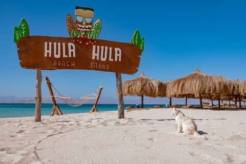 Hula Hula Island and Dolphin House with Snorkeling by Speedboat