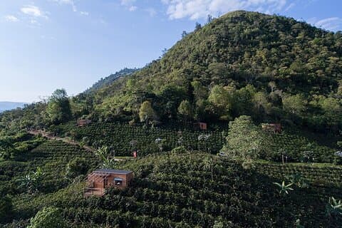 Fattoria di caffè vicino a Bogotà: Tour privato con barista.