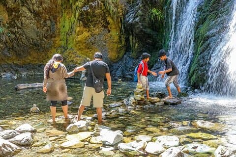 Excursion d'une demi-journée aux cascades de Faery, au lac Castle et au mont Shasta
