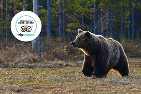 Banff Highlights & Wildlife | Award-Winning Small Group Adventure