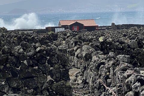500 years of vines and 300,000 years of island, an infinite story