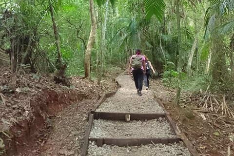 Gåtur Metropolitan Park Panama City