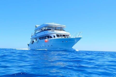 Delphin House Snorkelcruise med frokost i Hurghada