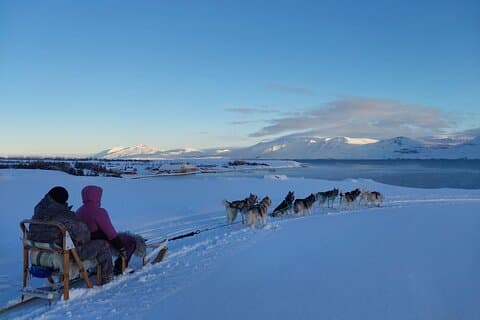 Private Dog Sledding in Akureyri