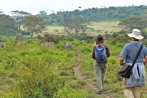 Excursion d'une journée au parc du mont Longonot depuis Nairobi
