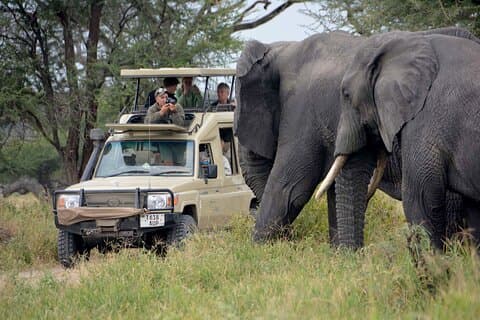7 Tage Tarangire, Serengeti, Ngorongoro Wildlife Safari