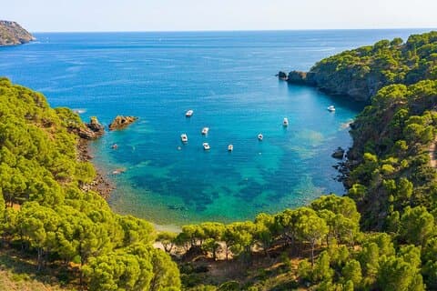 Cala Murtra: A Submarine World (New Free Audio Guide)