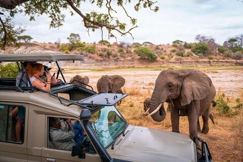 Paquete económico de 7 días de aventura Taste of Kenya Safari en jeep 4x4