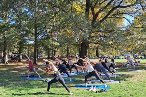 Clase de yoga grupal de 1 hora en Central Park
