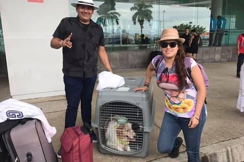 PET FRIENDLY Trasferimento privato Cancun - Playa del Carmen