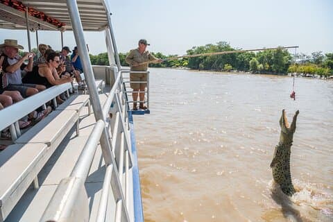 Spectacular Jumping Crocodile Cruise with Darwin Transfer Bus