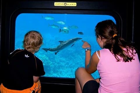 Semi-Submarine Sea Cruise with Snorkeling in Hurghada