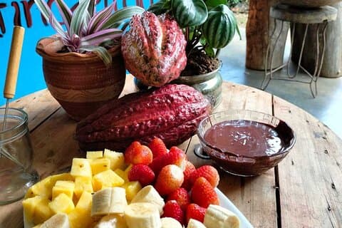 Cacao- en chocoladetour in San Rafael vanuit Medellín