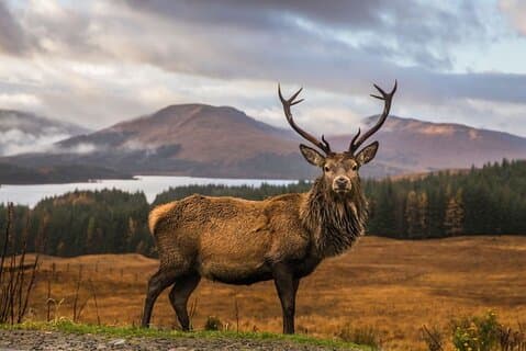 Private Isle of Skye-Tour