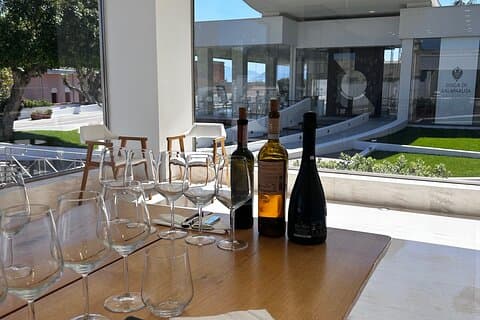 Sicilian Wine Tasting from Palermo with Food Pairing