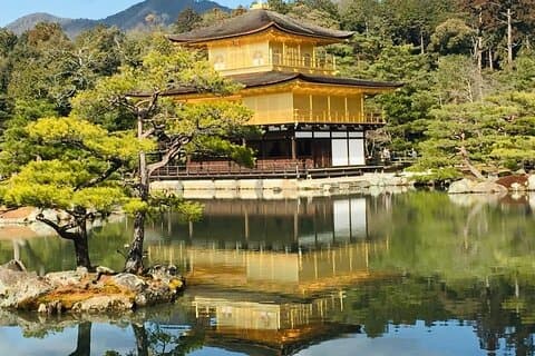 KYOTO og NARA TOUR med gratis inngang (kun sjåfør)