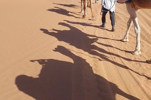5 Days Authentic Travel in the Desert Atlas Kasbah Culture