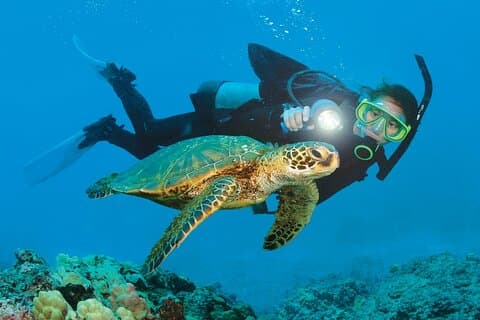 Mediterranean Diving Adventure from Antalya, Kemer