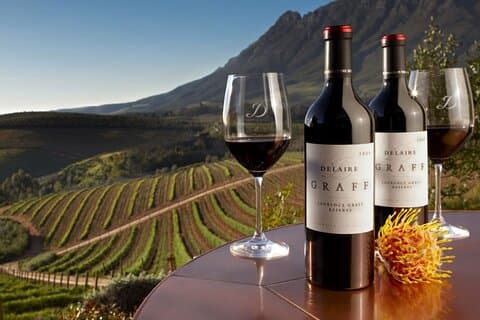 Privat heldags vinprovning av Western Cape