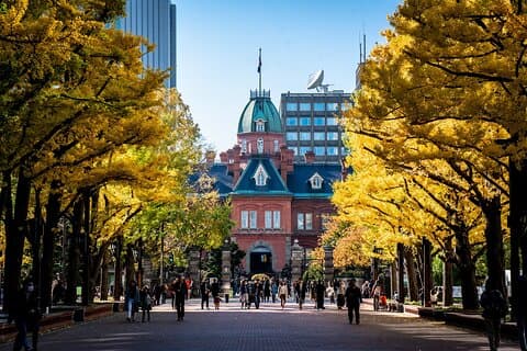 Sapporo Highlights : Kunst, Natur und Architektur Private Tour