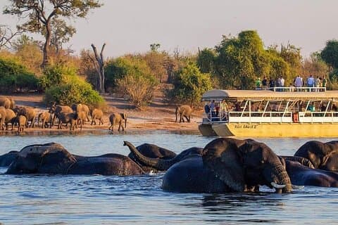 Heldagstur til Chobe National Park og Botswana