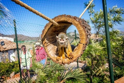 Amazonas Park en boottocht met glazen bodem