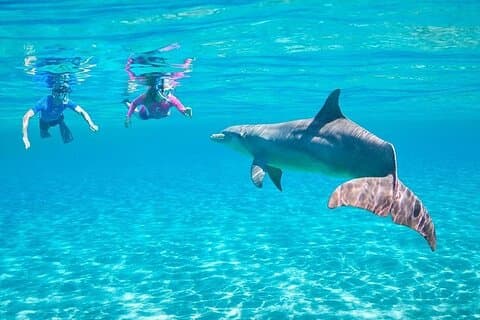 Verken Satayeh Reef tijdens een Marsa Alam-snorkeltrip