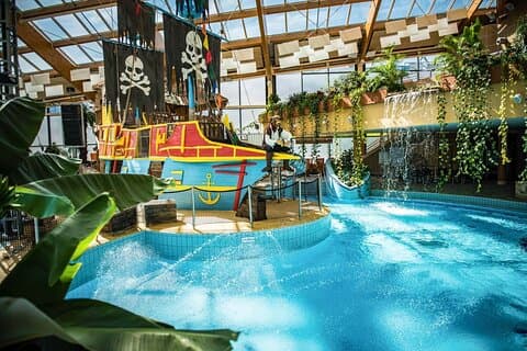 Parc aquatique de Prague avec transport privé aller-retour