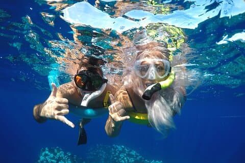 Maui Dolphins & Turtles - Makai Adventures
