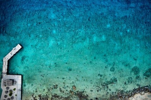 Cozumel : plongée avec tuba à terre + visite de l'île