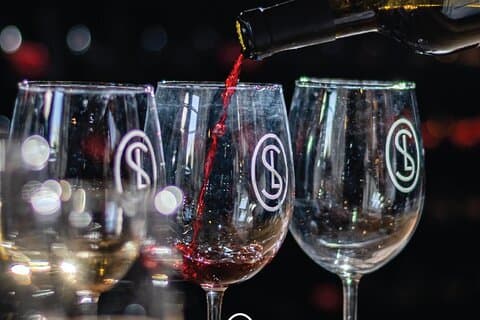 Sensorisk vinsmagningsoplevelse på Viñedos San Lucas