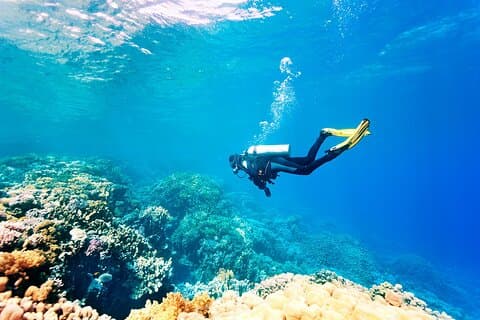 Mancora: Dive & Discover - Diving experience