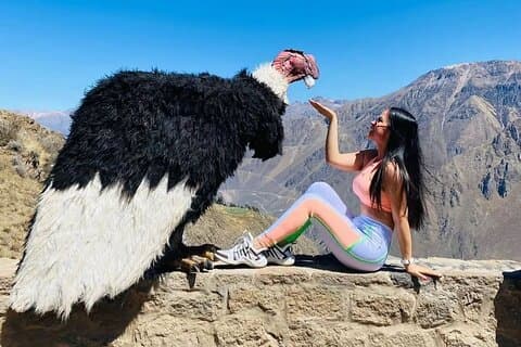 Arequipa: Colca Canyon 2 dager og 1 natt